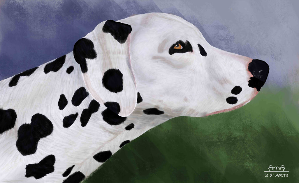 Dalmatian Painting Dog Oil Painting On Canvas le d'ARTe – le d
